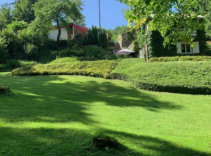 בית נופש Classic 2 רויה